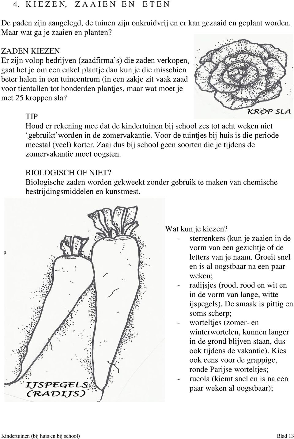 tientallen tot honderden plantjes, maar wat moet je met 25 kroppen sla? Houd er rekening mee dat de kindertuinen bij school zes tot acht weken niet gebruikt worden in de zomervakantie.