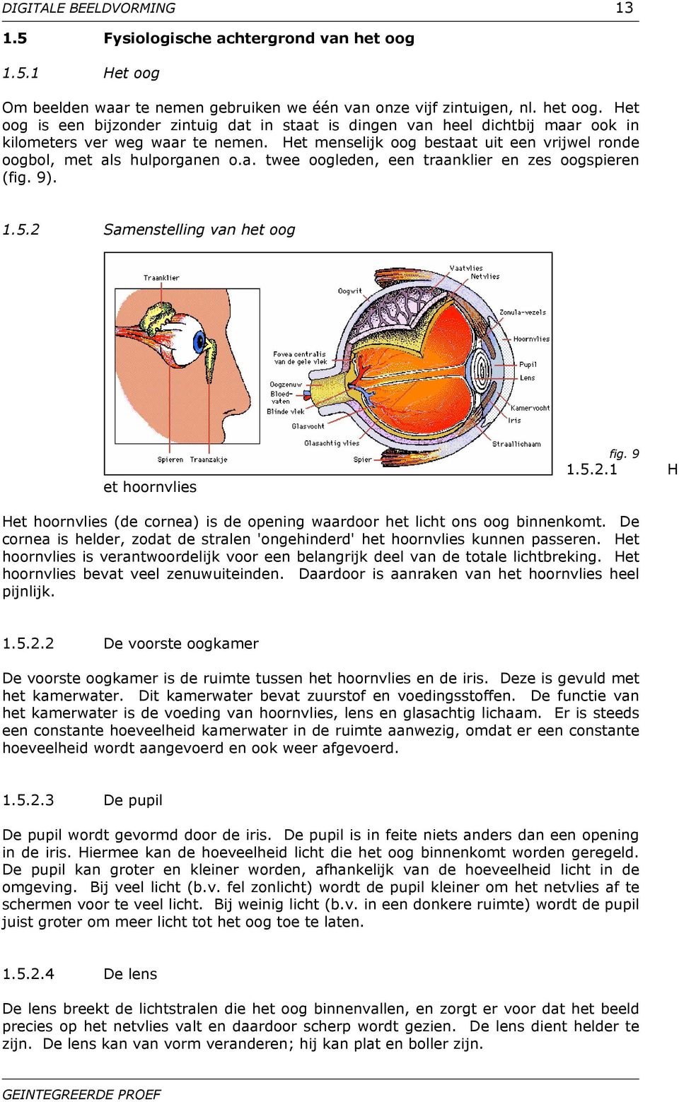 Samenstelling van het oog et hoornvlies fig. 9 1.5.2.1 H Het hoornvlies (de cornea) is de opening waardoor het licht ons oog binnenkomt.