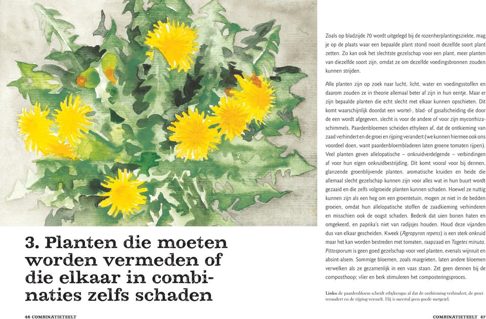 Planten die moeten worden vermeden of die elkaar in combinaties zelfs schaden Alle planten zijn op zoek naar lucht, licht, water en voedingsstoffen en daarom zouden ze in theorie allemaal beter af