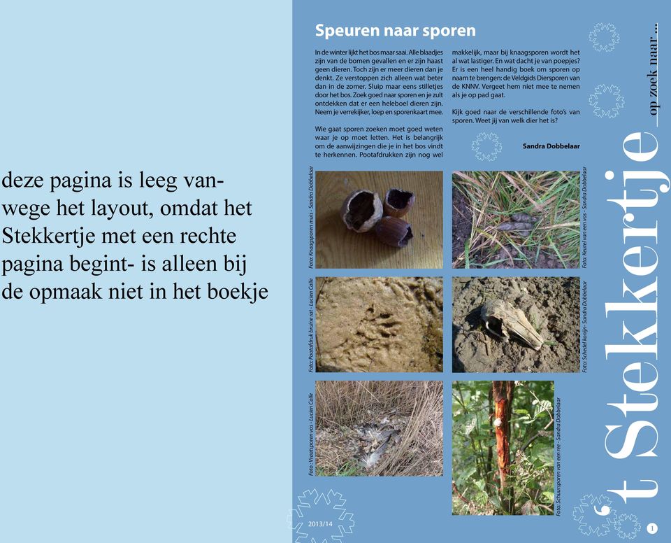 Neem je verrekijker, loep en sporenkaart mee. Wie gaat sporen zoeken moet goed weten waar je op moet letten. Het is belangrijk om de aanwijzingen die je in het bos vindt te herkennen.