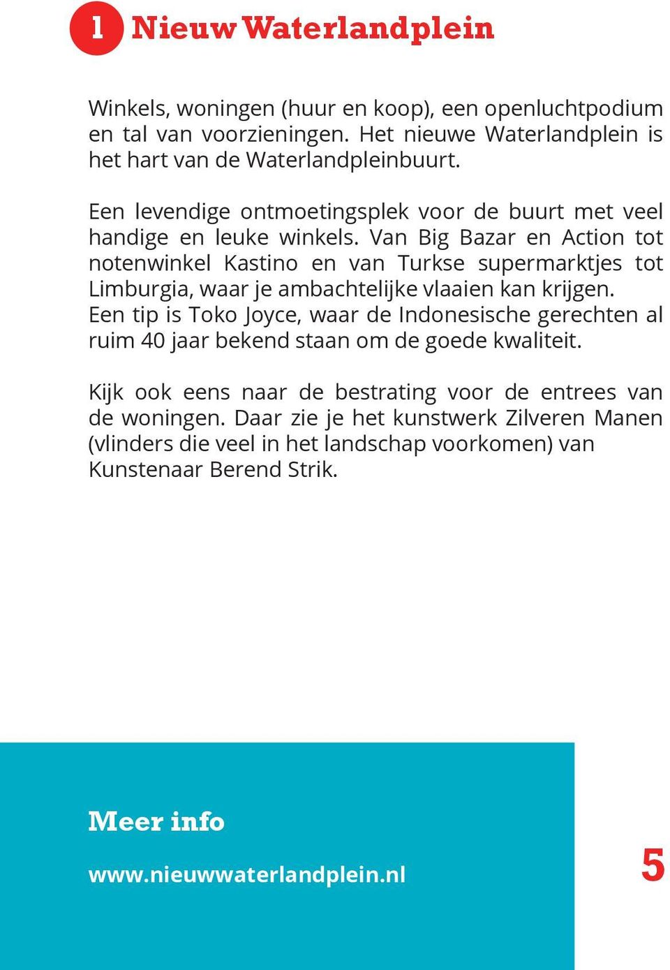 Van Big Bazar en Action tot notenwinkel Kastino en van Turkse supermarktjes tot Limburgia, waar je ambachtelijke vlaaien kan krijgen.