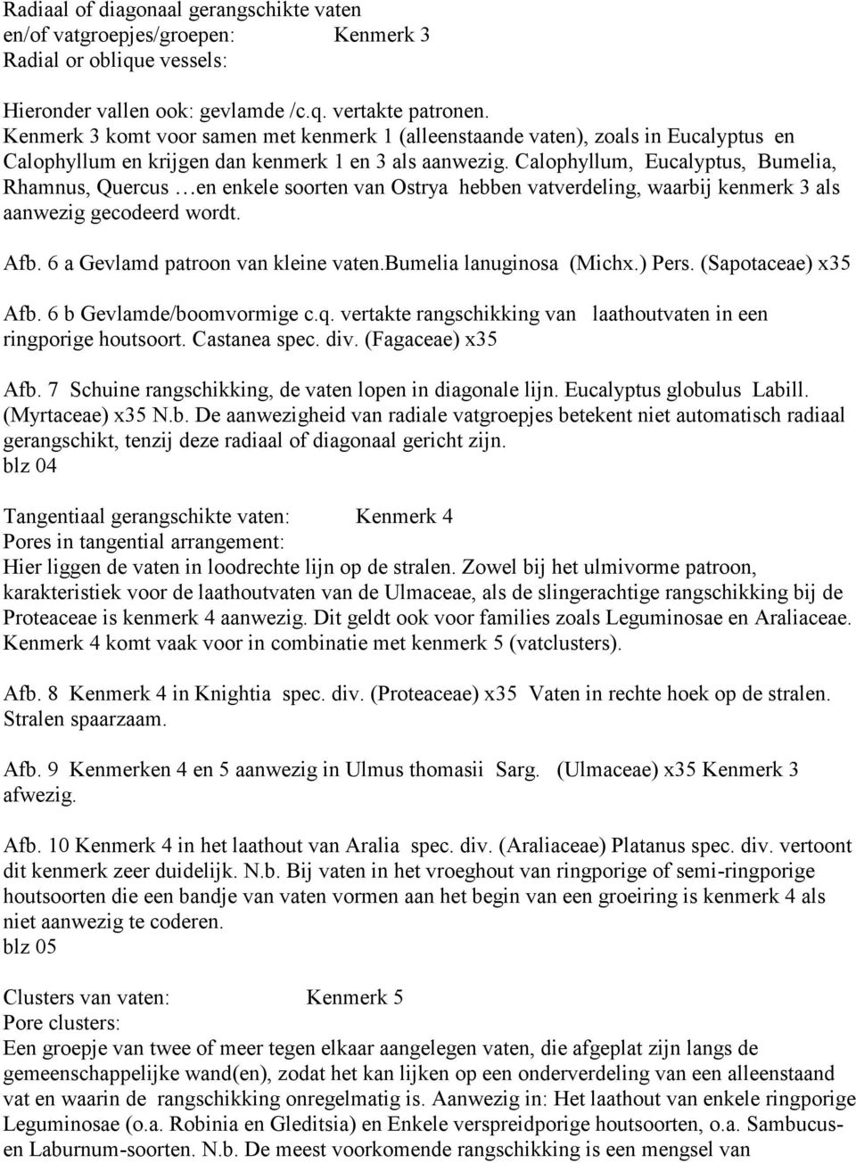 Calophyllum, Eucalyptus, Bumelia, Rhamnus, Quercus en enkele soorten van Ostrya hebben vatverdeling, waarbij kenmerk 3 als aanwezig gecodeerd wordt. Afb. 6 a Gevlamd patroon van kleine vaten.