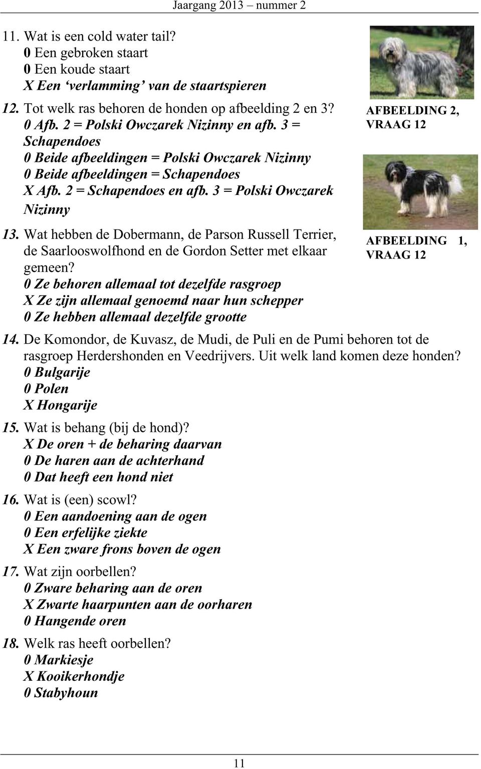 Wat hebben de Dobermann, de Parson Russell Terrier, de Saarlooswolfhond en de Gordon Setter met elkaar gemeen?