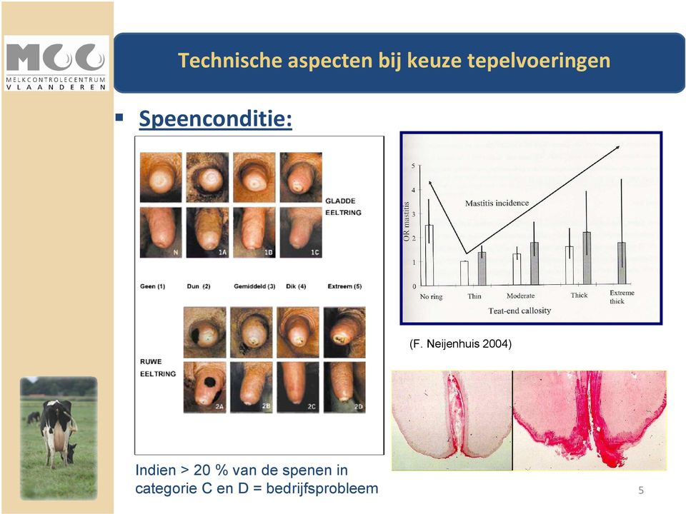 20 % van de spenen in