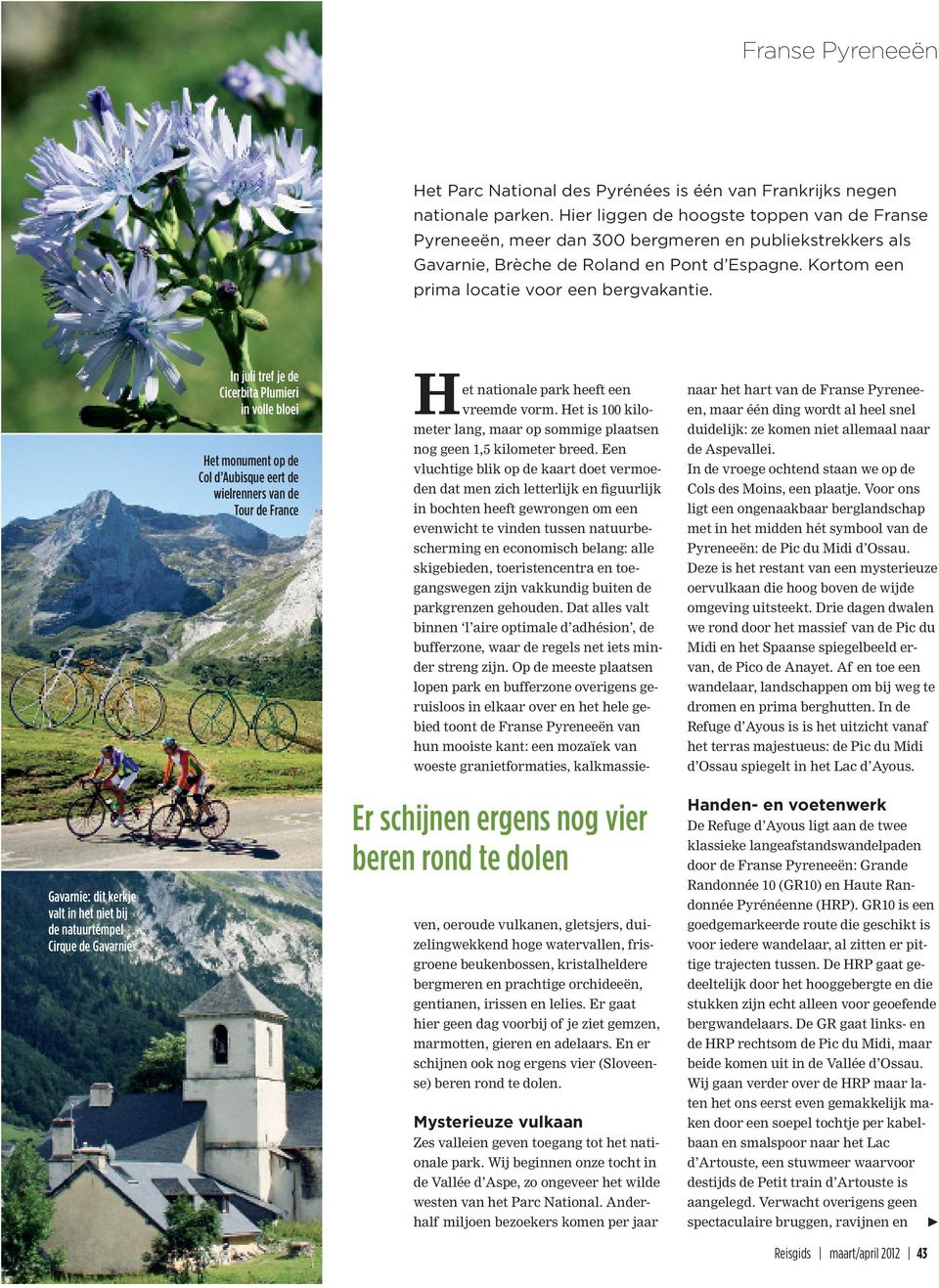 In juli tref je de Cicerbita Plumieri in volle bloei Het monument op de Col d Aubisque eert de wielrenners van de Tour de France naar het hart van de Franse Pyreneeen, maar één ding wordt al heel