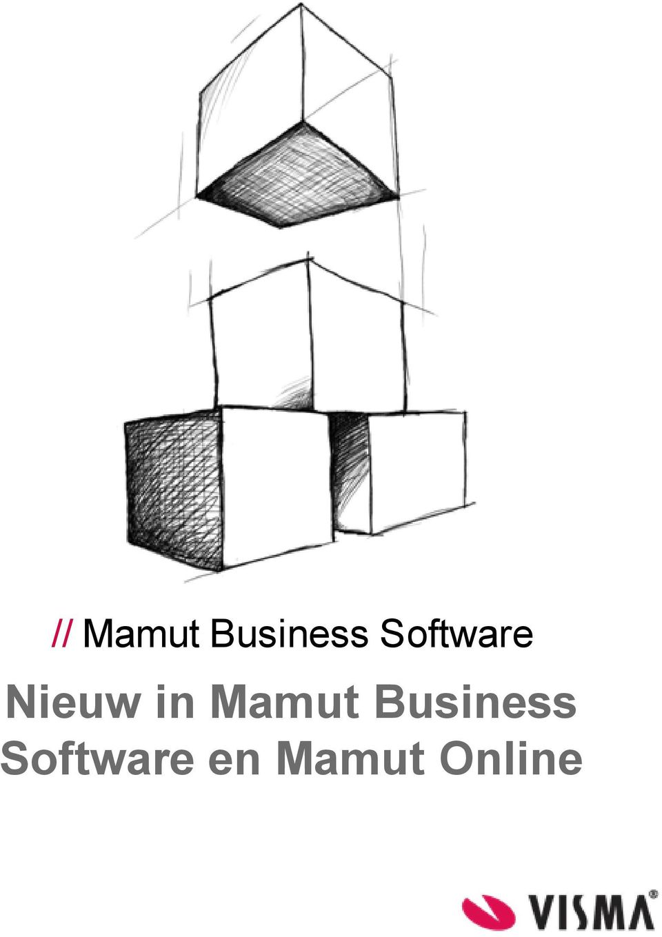 Mamut Business