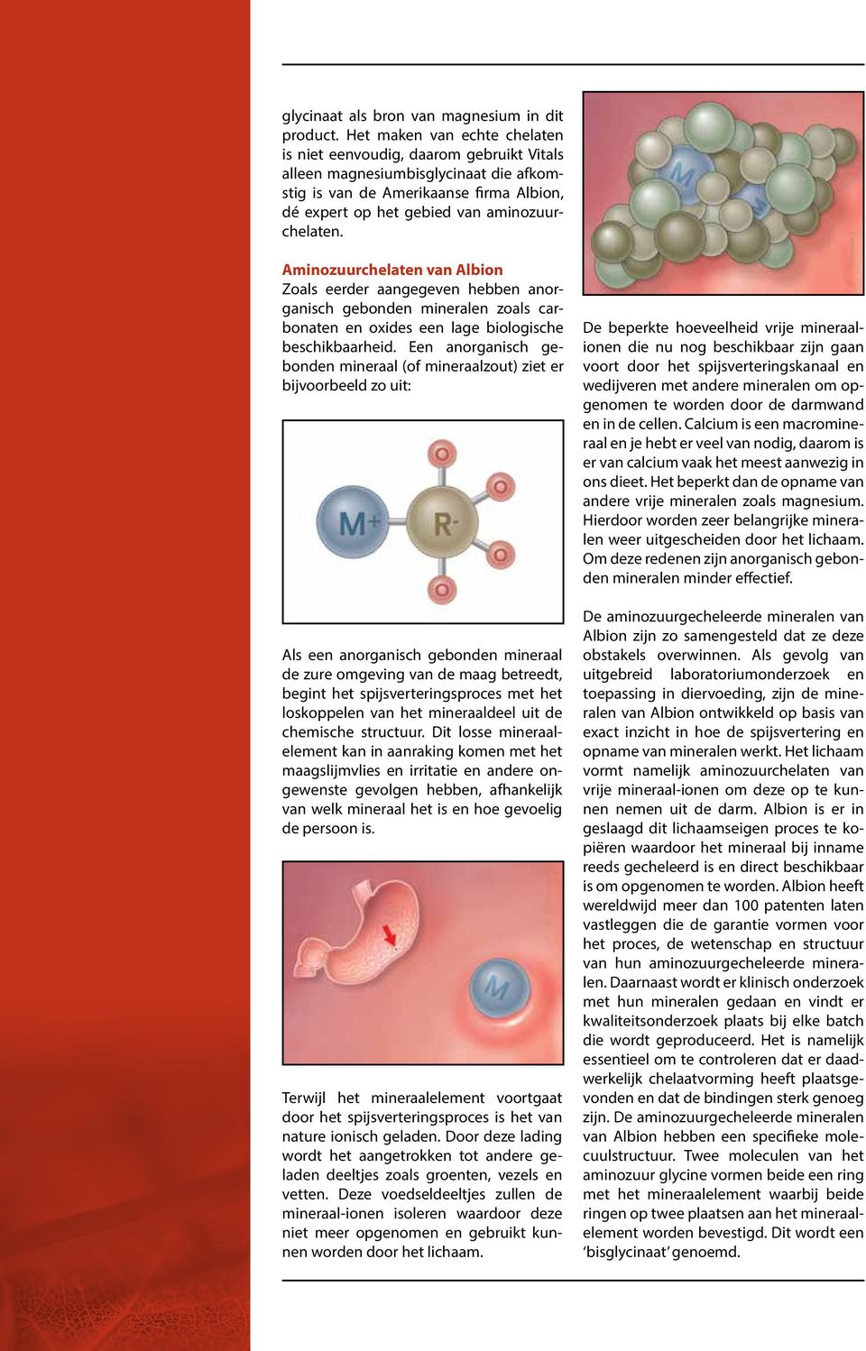 Aminozuurchelaten van Albion Zoals eerder aangegeven hebben anorganisch gebonden mineralen zoals carbonaten en oxides een lage biologische beschikbaarheid.