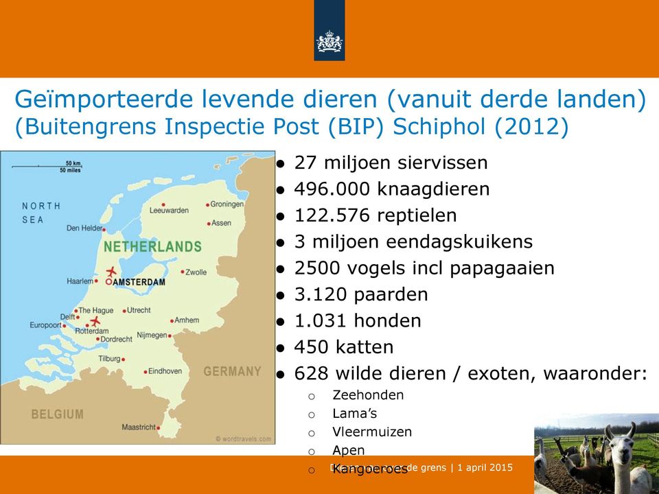 576 reptielen 3 miljoen eendagskuikens 2500 vogels incl papagaaien 3.120 paarden 1.