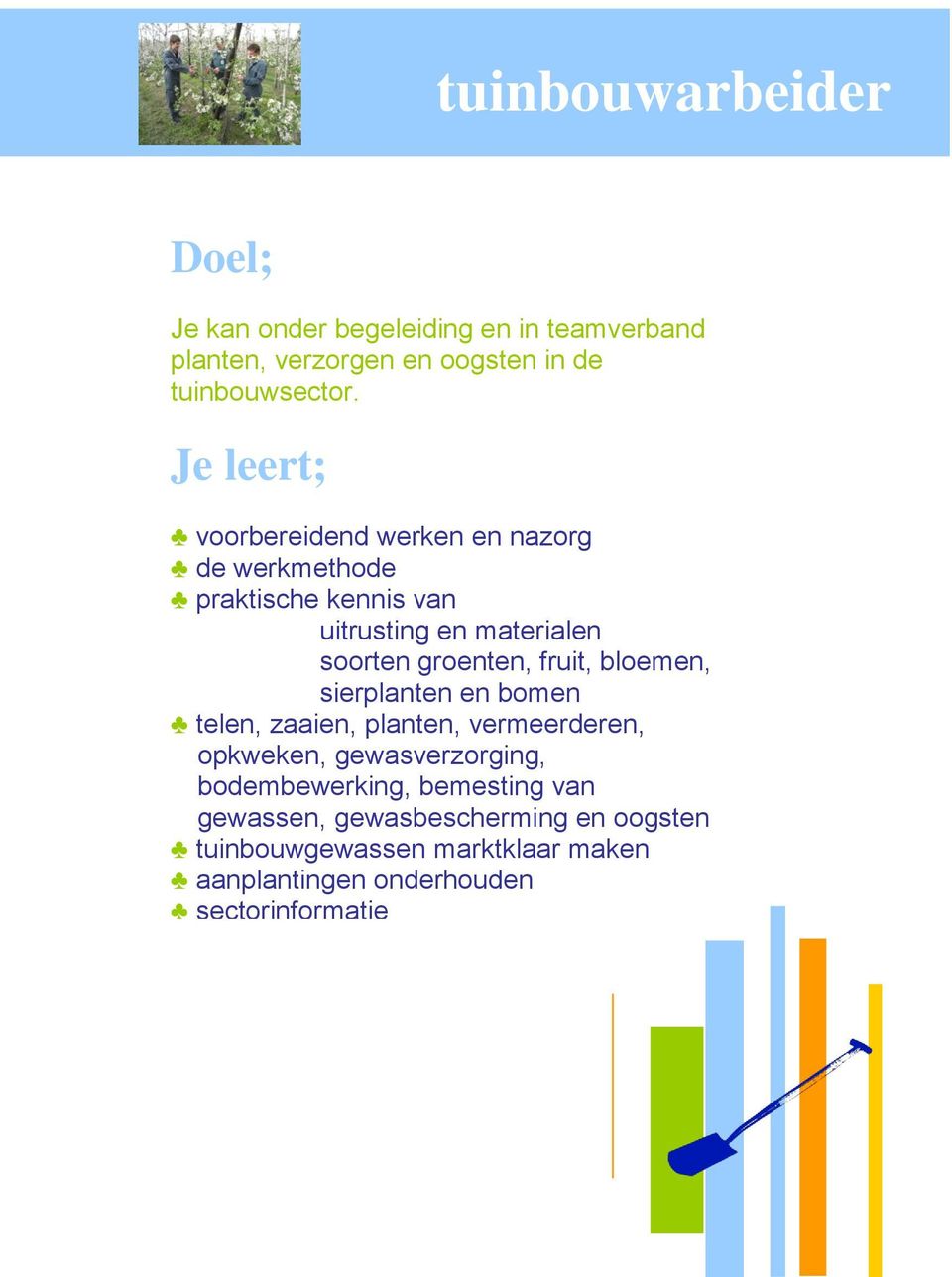 fruit, bloemen, sierplanten en bomen telen, zaaien, planten, vermeerderen, opkweken, gewasverzorging, bodembewerking,