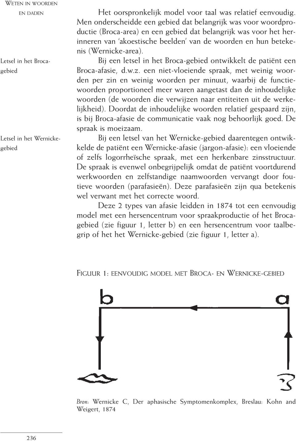 (Wernicke-area). Bij een letsel in het Broca-gebied ontwikkelt de patiënt een Broca-afasie, d.w.z.