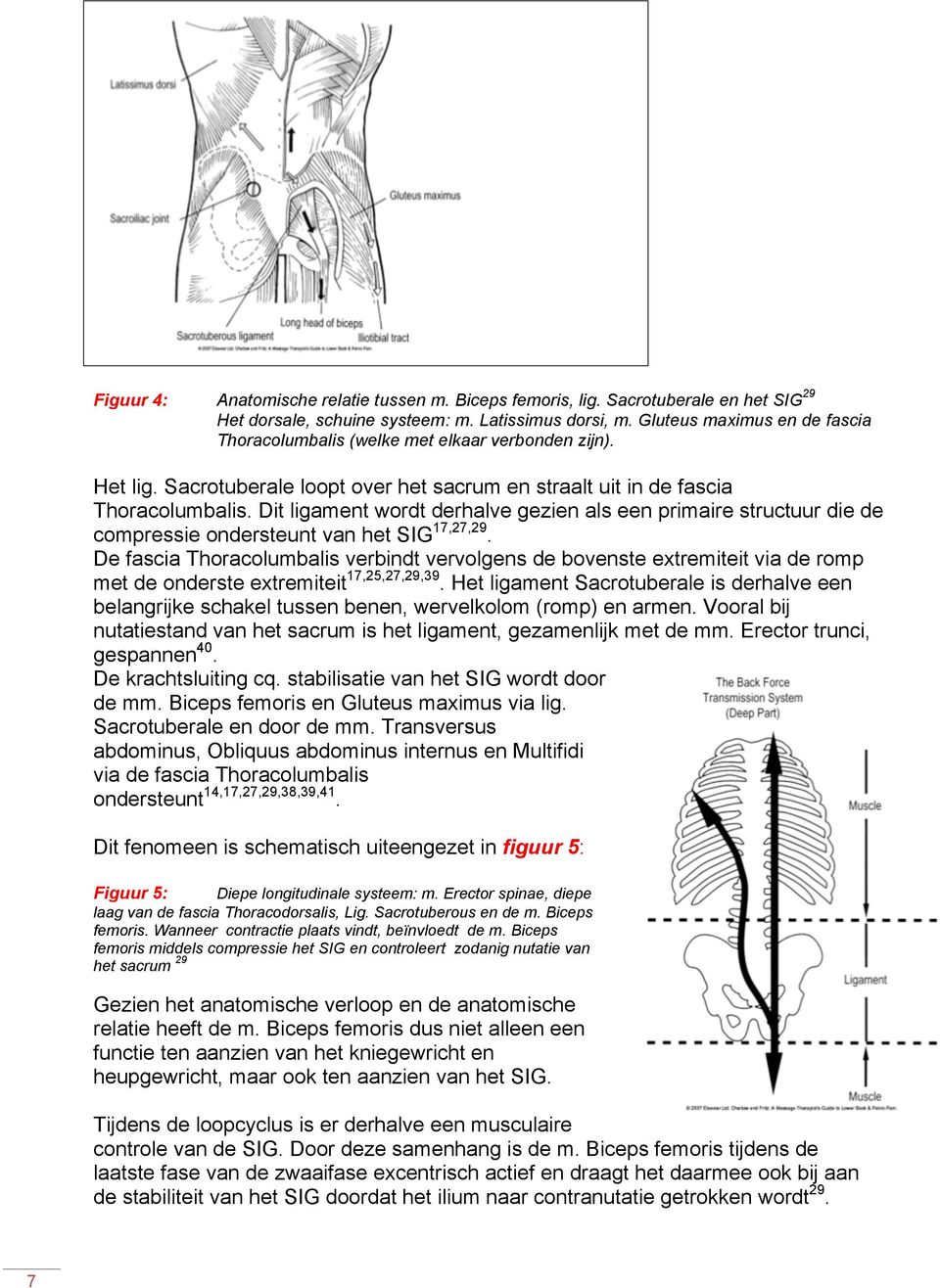 Dit ligament wordt derhalve gezien als een primaire structuur die de compressie ondersteunt van het SIG 17,27,29.