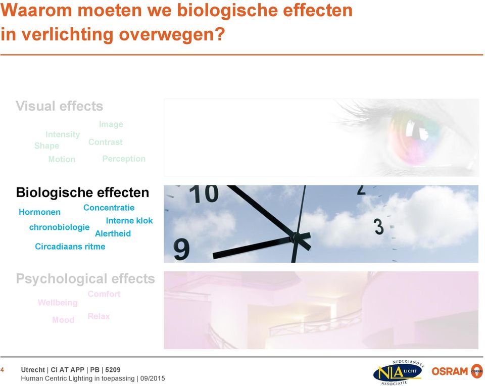 Biologische effecten Hormonen chronobiologie Circadiaans ritme