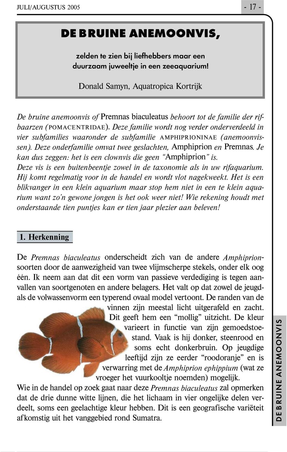 Dezefamilie wordt nog verder onderverdeeld in vier subfamilies waaronder de subfamilie amphiprioninae (anemoonvissen). Deze onderfamilie omvat twee geslachten, en.