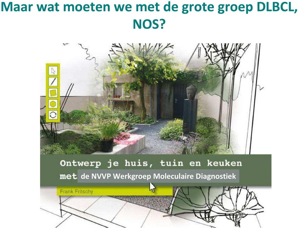 NOS? de NVVP Werkgroep