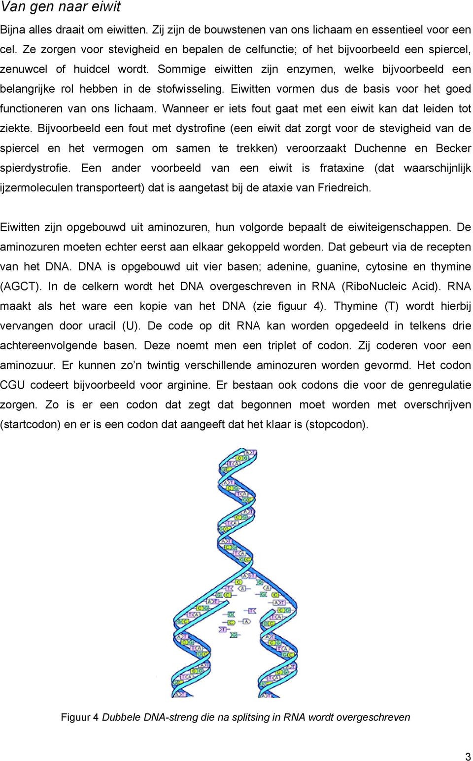 Sommige eiwitten zijn enzymen, welke bijvoorbeeld een belangrijke rol hebben in de stofwisseling. Eiwitten vormen dus de basis voor het goed functioneren van ons lichaam.