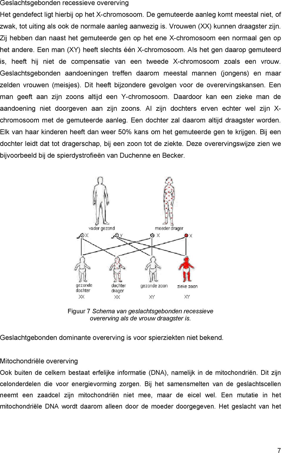 Als het gen daarop gemuteerd is, heeft hij niet de compensatie van een tweede X-chromosoom zoals een vrouw.