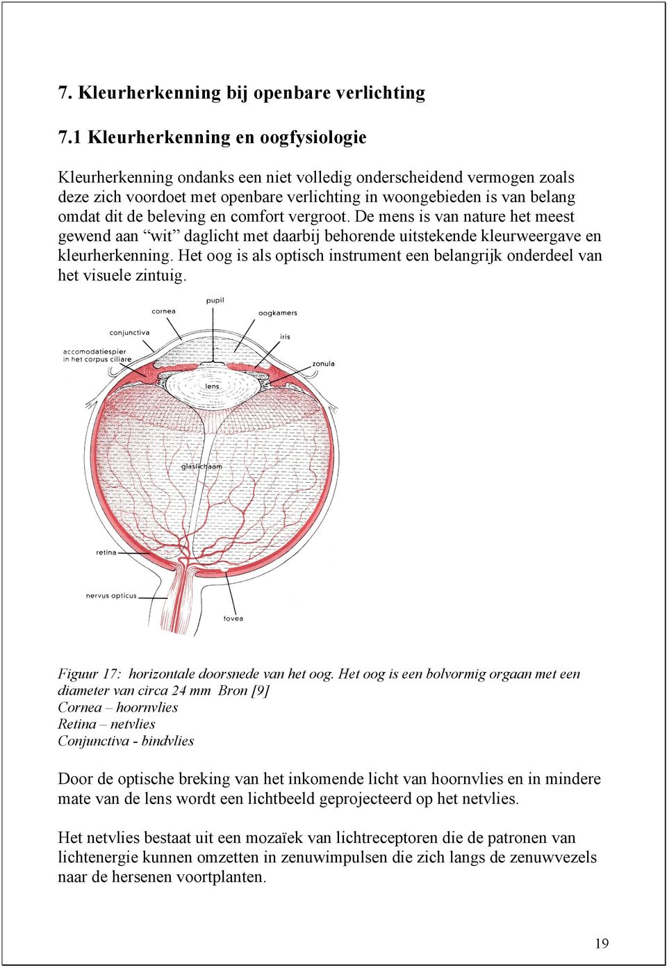 beleving en comfort vergroot. De mens is van nature het meest gewend aan wit daglicht met daarbij behorende uitstekende kleurweergave en kleurherkenning.