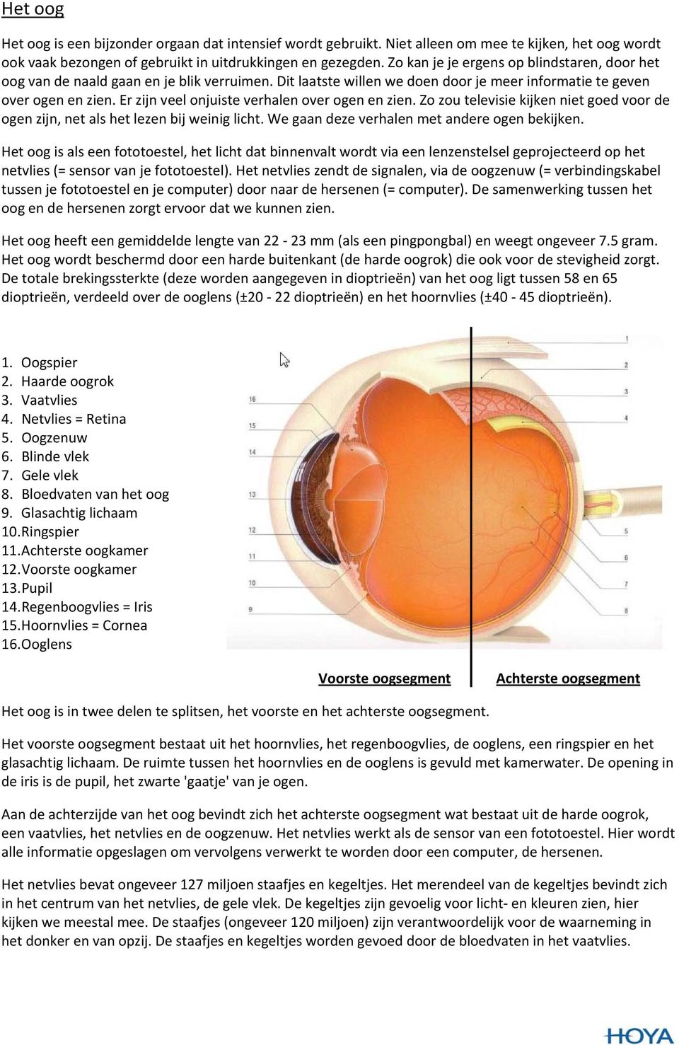 Er zijn veel onjuiste verhalen over ogen en zien. Zo zou televisie kijken niet goed voor de ogen zijn, net als het lezen bij weinig licht. We gaan deze verhalen met andere ogen bekijken.