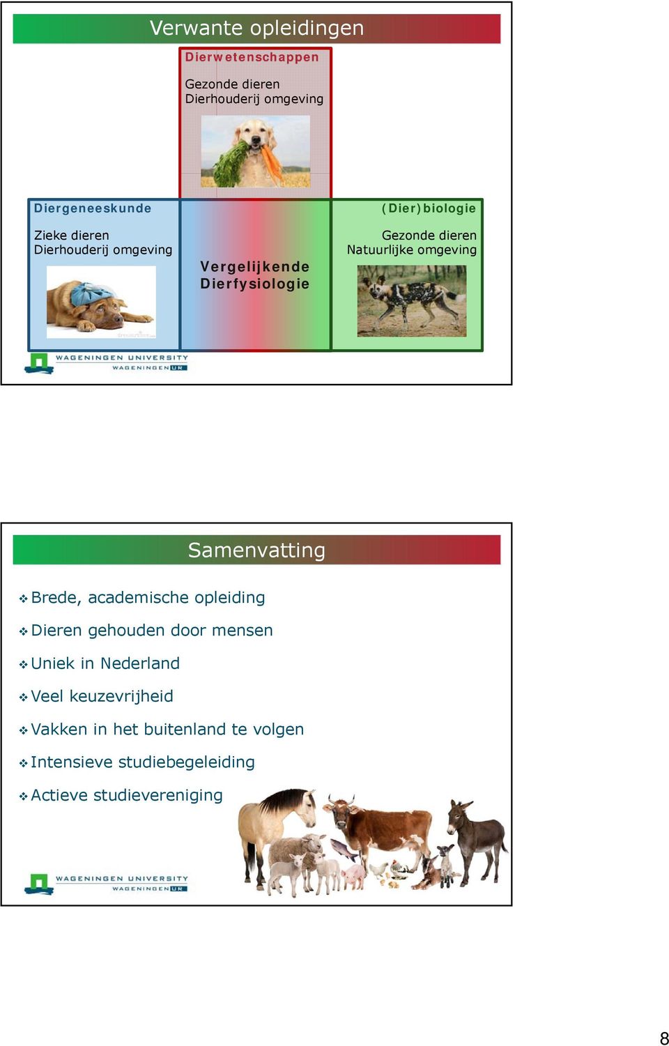 omgeving Samenvatting Brede, academische opleiding Dieren gehouden door mensen Uniek in Nederland