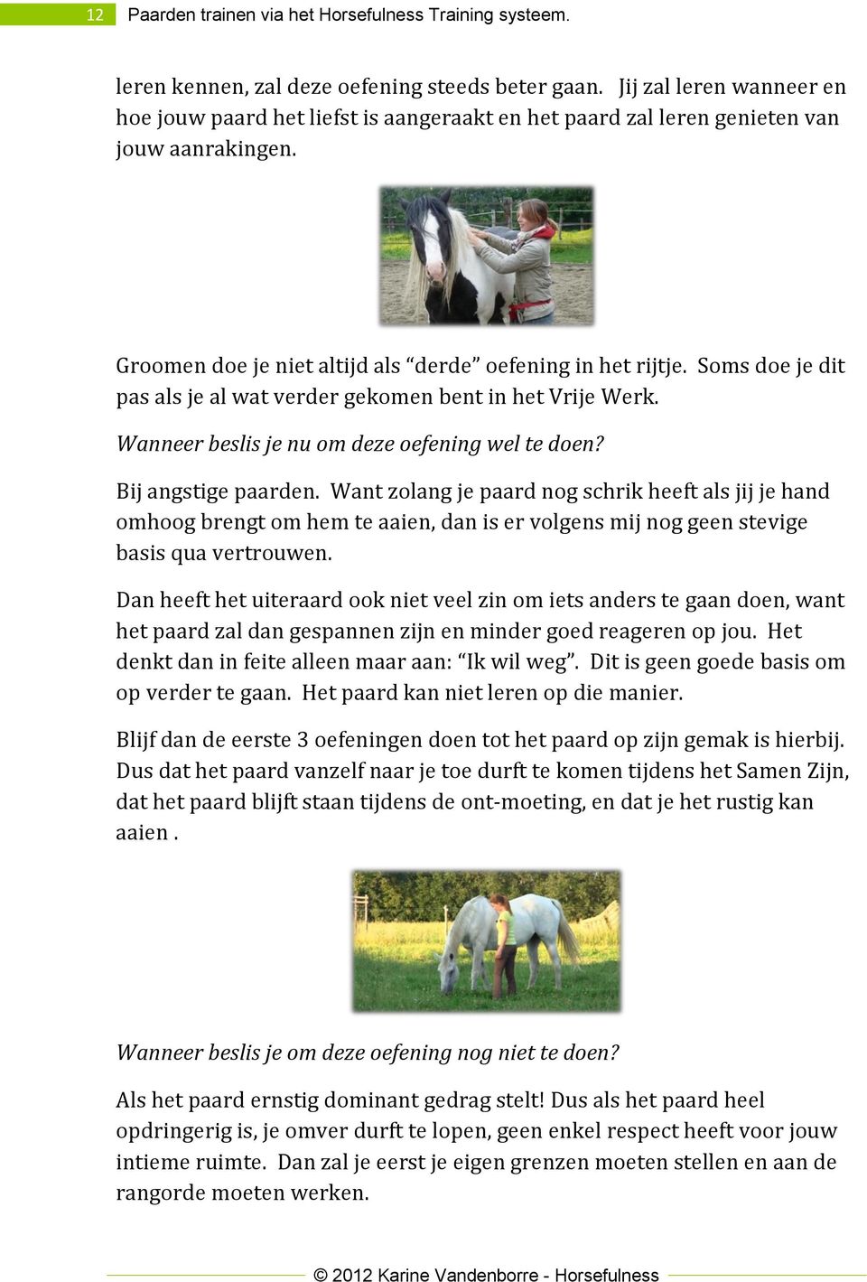 Soms doe je dit pas als je al wat verder gekomen bent in het Vrije Werk. Wanneer beslis je nu om deze oefening wel te doen? Bij angstige paarden.