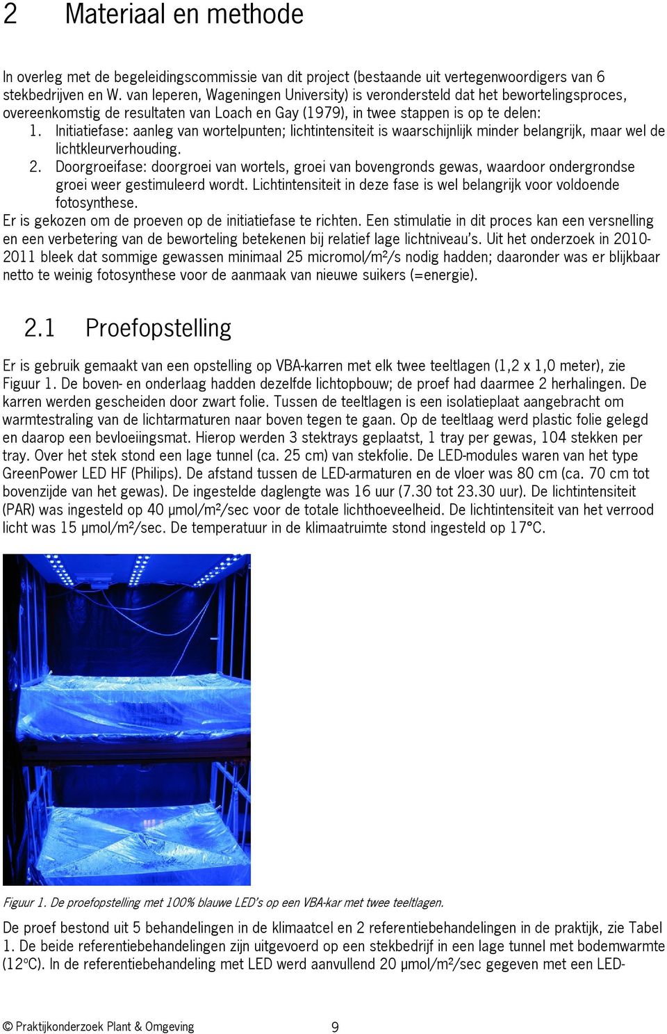 Initiatiefase: aanleg van wortelpunten; lichtintensiteit is waarschijnlijk minder belangrijk, maar wel de lichtkleurverhouding. 2.