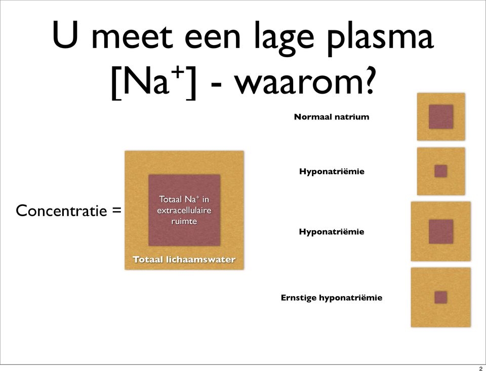 Totaal Na + in extracellulaire ruimte