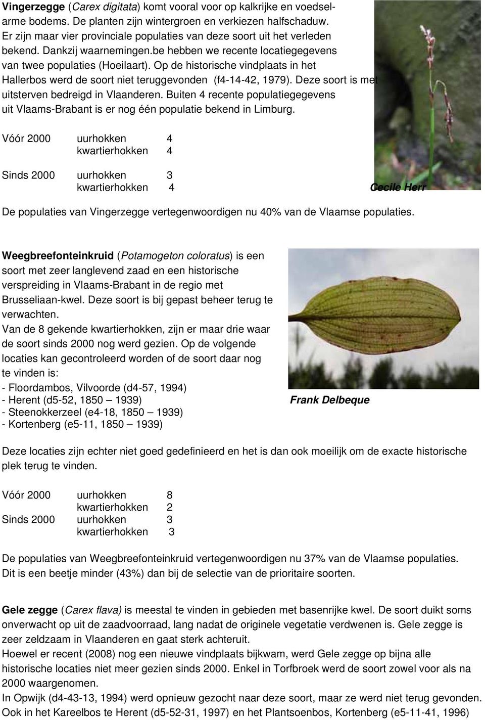 Op de historische vindplaats in het Hallerbos werd de soort niet teruggevonden (f4-14-42, 1979). Deze soort is met uitsterven bedreigd in Vlaanderen.