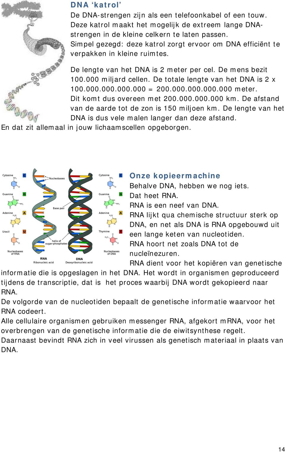 De totale lengte van het DNA is 2 x 100.000.000.000.000 = 200.000.000.000.000 meter. Dit komt dus overeen met 200.000.000.000 km. De afstand van de aarde tot de zon is 150 miljoen km.