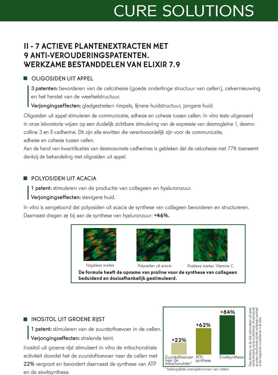 Verjongingseffecten: gladgestreken rimpels, fi jnere huidstructuur, jongere huid. Oligosiden uit appel stimuleren de communicatie, adhesie en cohesie tussen cellen.