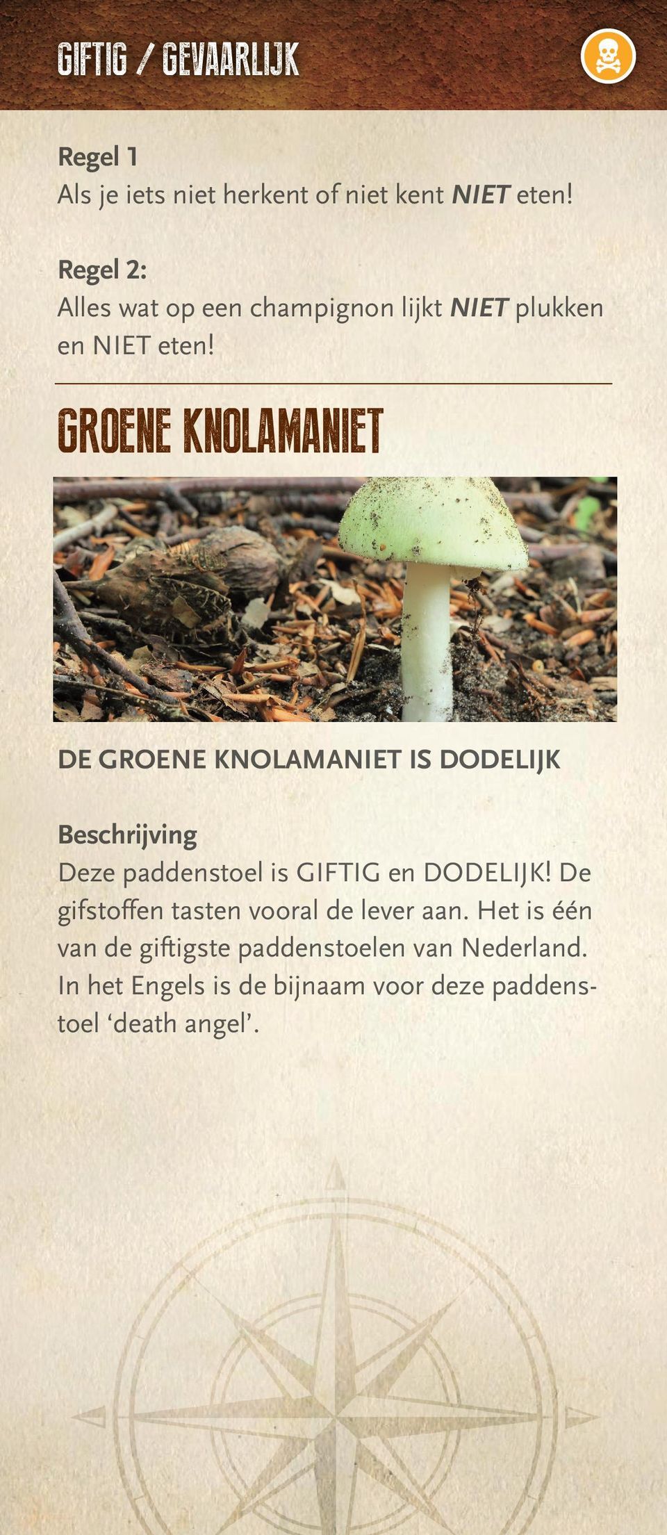 GROENE KNOLAMANIET DE GROENE KNOLAMANIET IS DODELIJK Beschrijving Deze paddenstoel is GIFTIG en