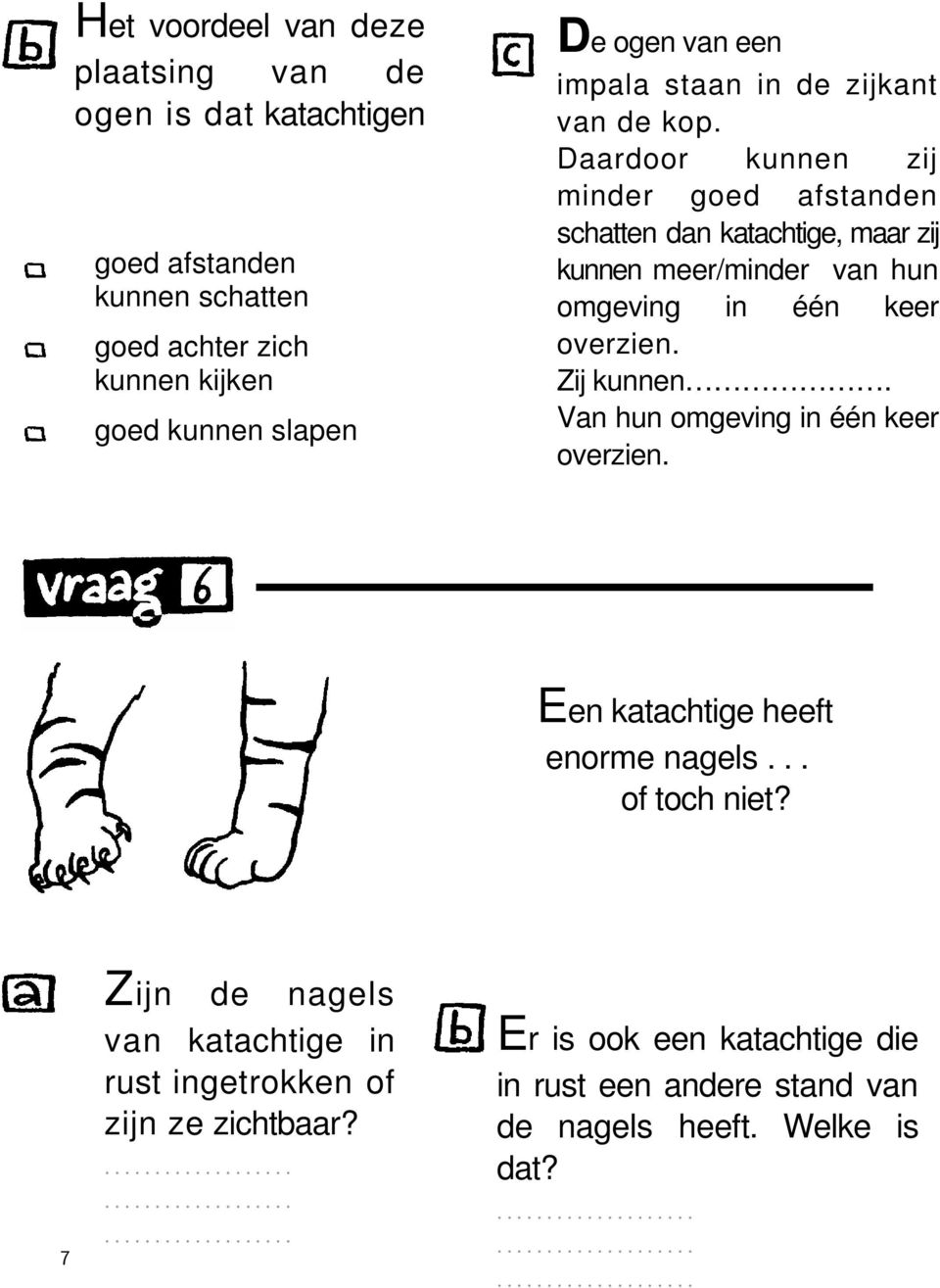 Daardoor kunnen zij minder goed afstanden schatten dan katachtige, maar zij kunnen meer/minder van hun omgeving in één keer overzien. Zij kunnen.