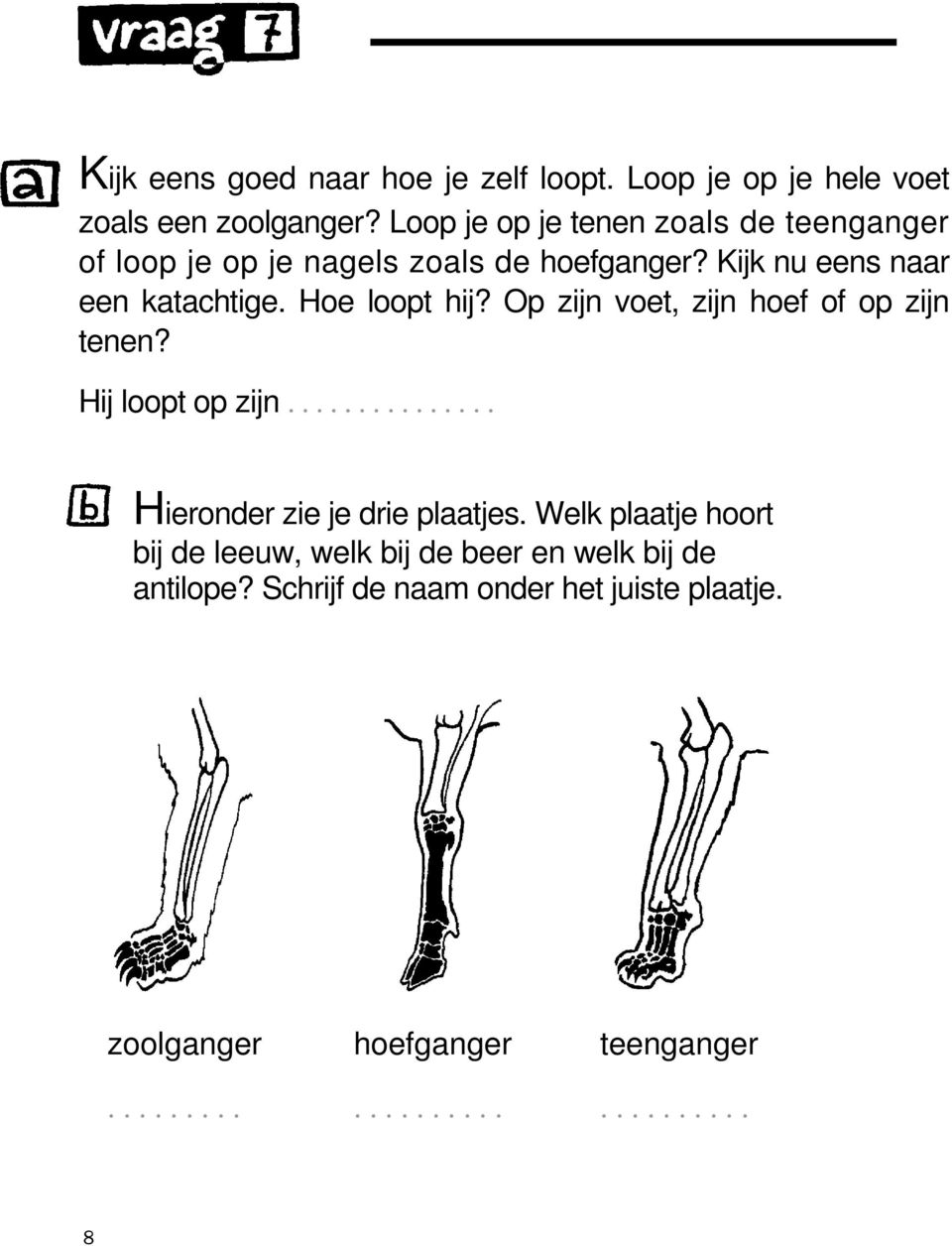 Hoe loopt hij? Op zijn voet, zijn hoef of op zijn tenen? Hij loopt op zijn............... Hieronder zie je drie plaatjes.