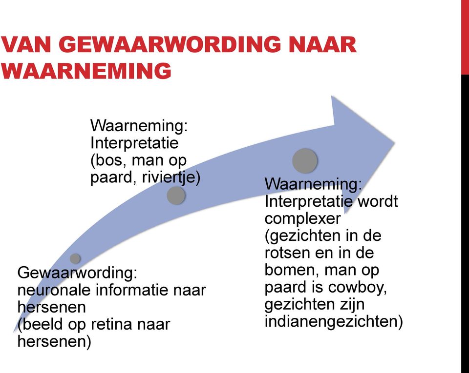 retina naar hersenen) Waarneming: Interpretatie wordt complexer (gezichten in