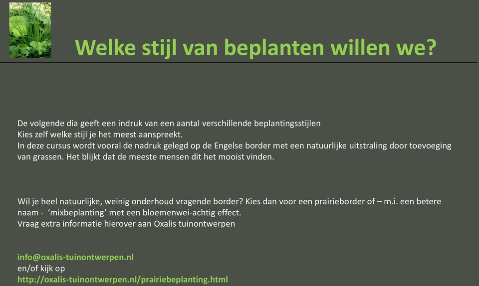 Het blijkt dat de meeste mensen dit het mooist vinden. Wil je heel natuurlijke, weinig onderhoud vragende border? Kies dan voor een prairieborder of m.i. een betere naam - mixbeplanting met een bloemenwei-achtig effect.