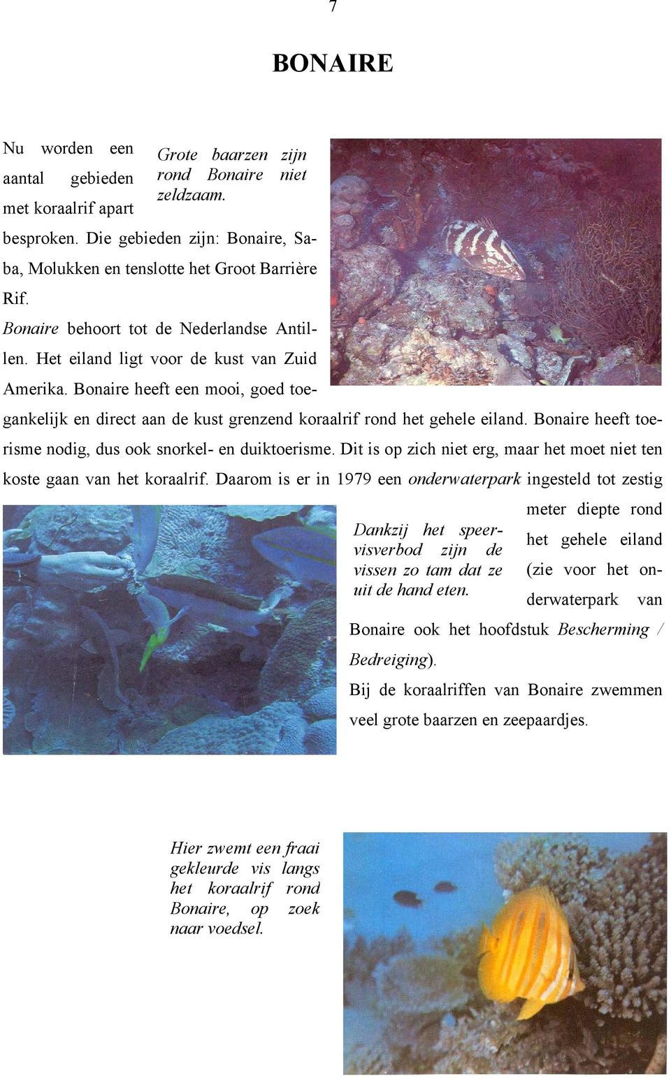 Bonaire heeft toerisme nodig, dus ook snorkel- en duiktoerisme. Dit is op zich niet erg, maar het moet niet ten koste gaan van het koraalrif.