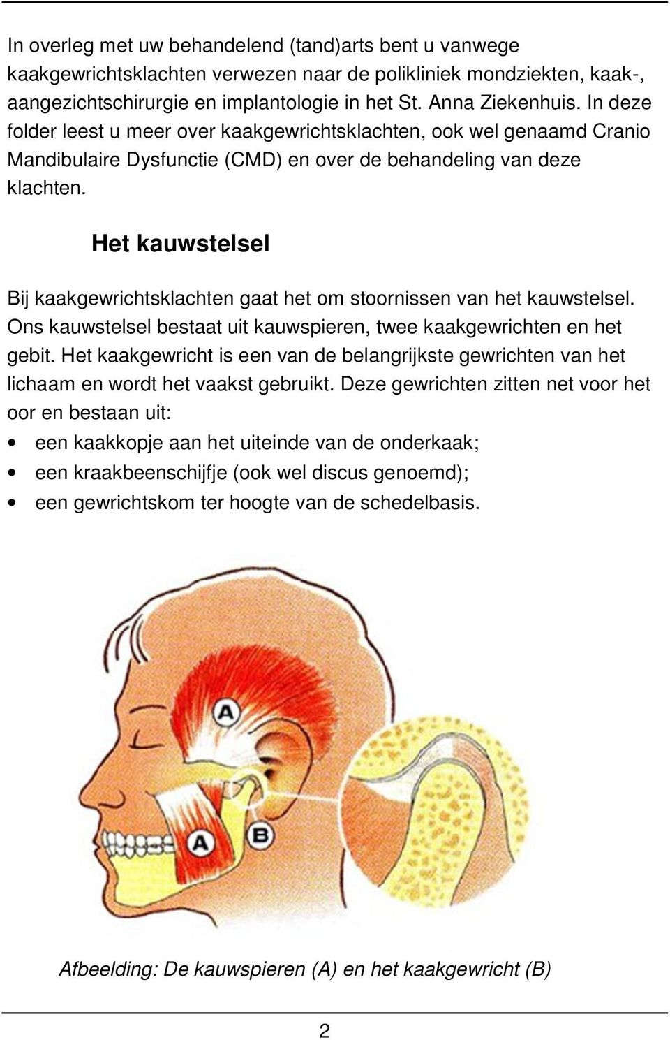 Het kauwstelsel Bij kaakgewrichtsklachten gaat het om stoornissen van het kauwstelsel. Ons kauwstelsel bestaat uit kauwspieren, twee kaakgewrichten en het gebit.