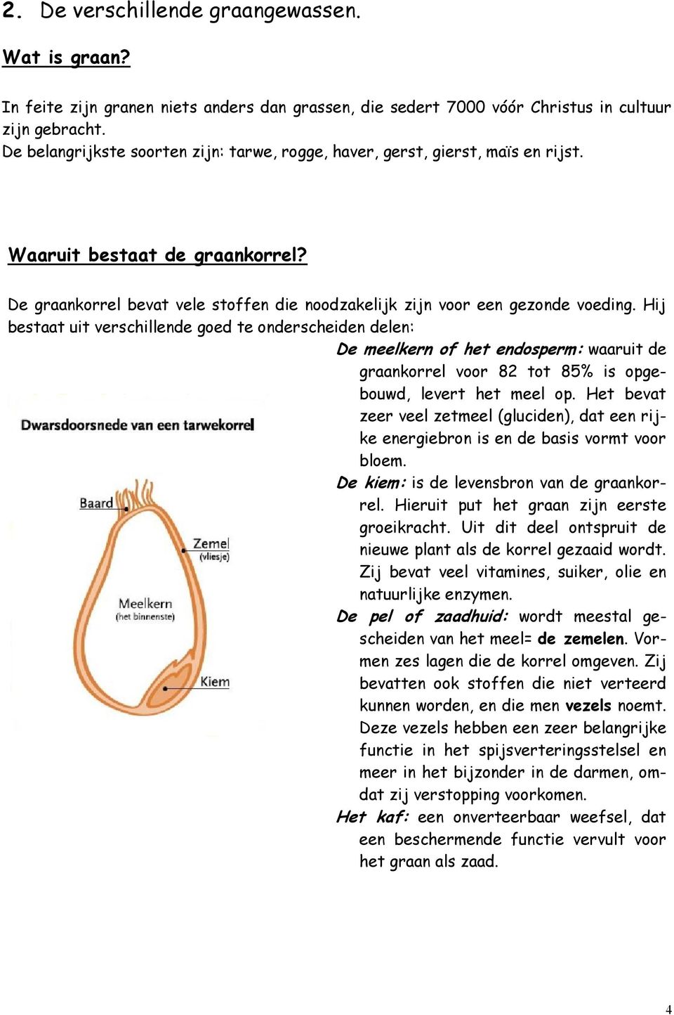 Hij bestaat uit verschillende goed te onderscheiden delen: De meelkern of het endosperm: waaruit de graankorrel voor 82 tot 85% is opgebouwd, levert het meel op.