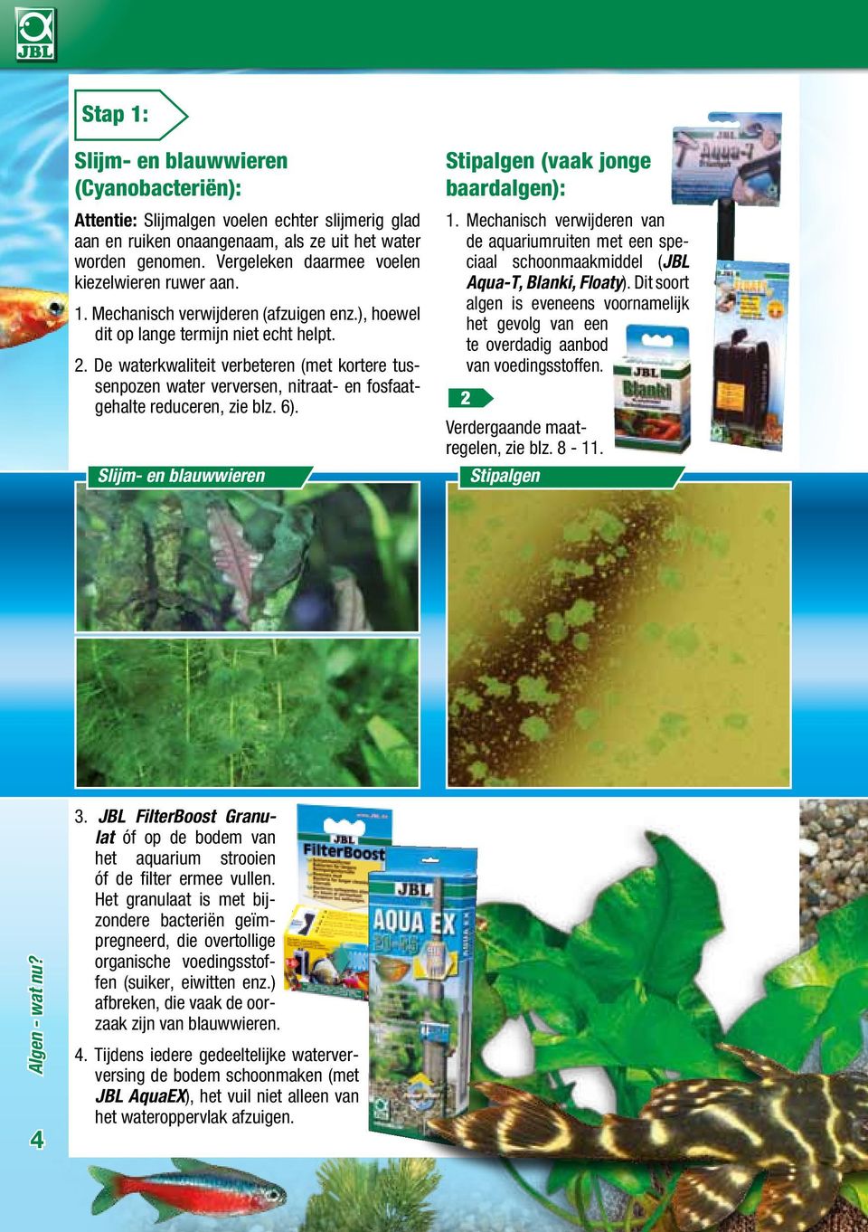 De waterkwaliteit verbeteren (met kortere tussenpozen water verversen, nitraat- en fosfaatgehalte reduceren, zie blz. 6). Slijm- en blauwwieren Stipalgen (vaak jonge baardalgen): 1.