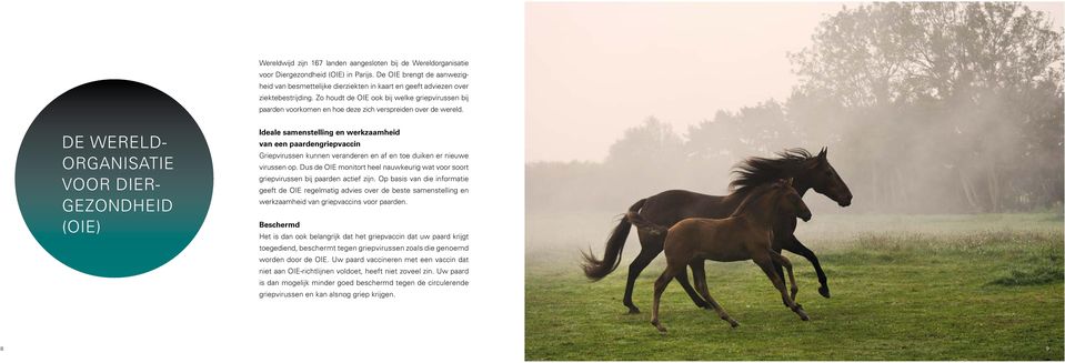 Zo houdt de OIE ook bij welke griepvirussen bij paarden voorkomen en hoe deze zich verspreiden over de wereld.