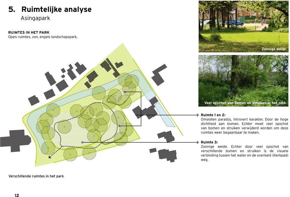 Echter moet veel opschot van bomen en struiken verwijderd worden om deze ruimtes weer begaanbaar te maken. Ruimte 3: Zonnige weide.