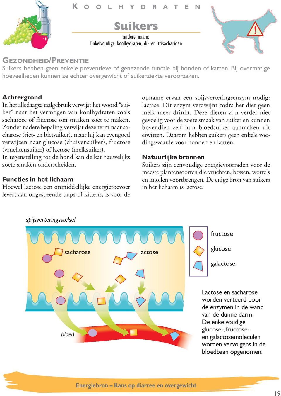 In het alledaagse taalgebruik verwijst het woord suiker naar het vermogen van koolhydraten zoals sacharose of fructose om smaken zoet te maken.