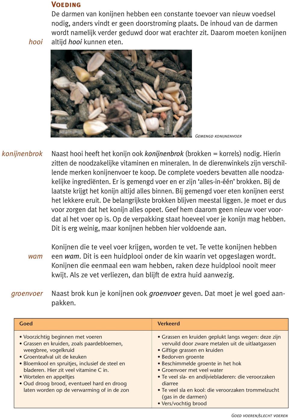 Gemengd konijnenvoer konijnenbrok wam groenvoer Naast hooi heeft het konijn ook konijnenbrok (brokken = korrels) nodig. Hierin zitten de noodzakelijke vitaminen en mineralen.