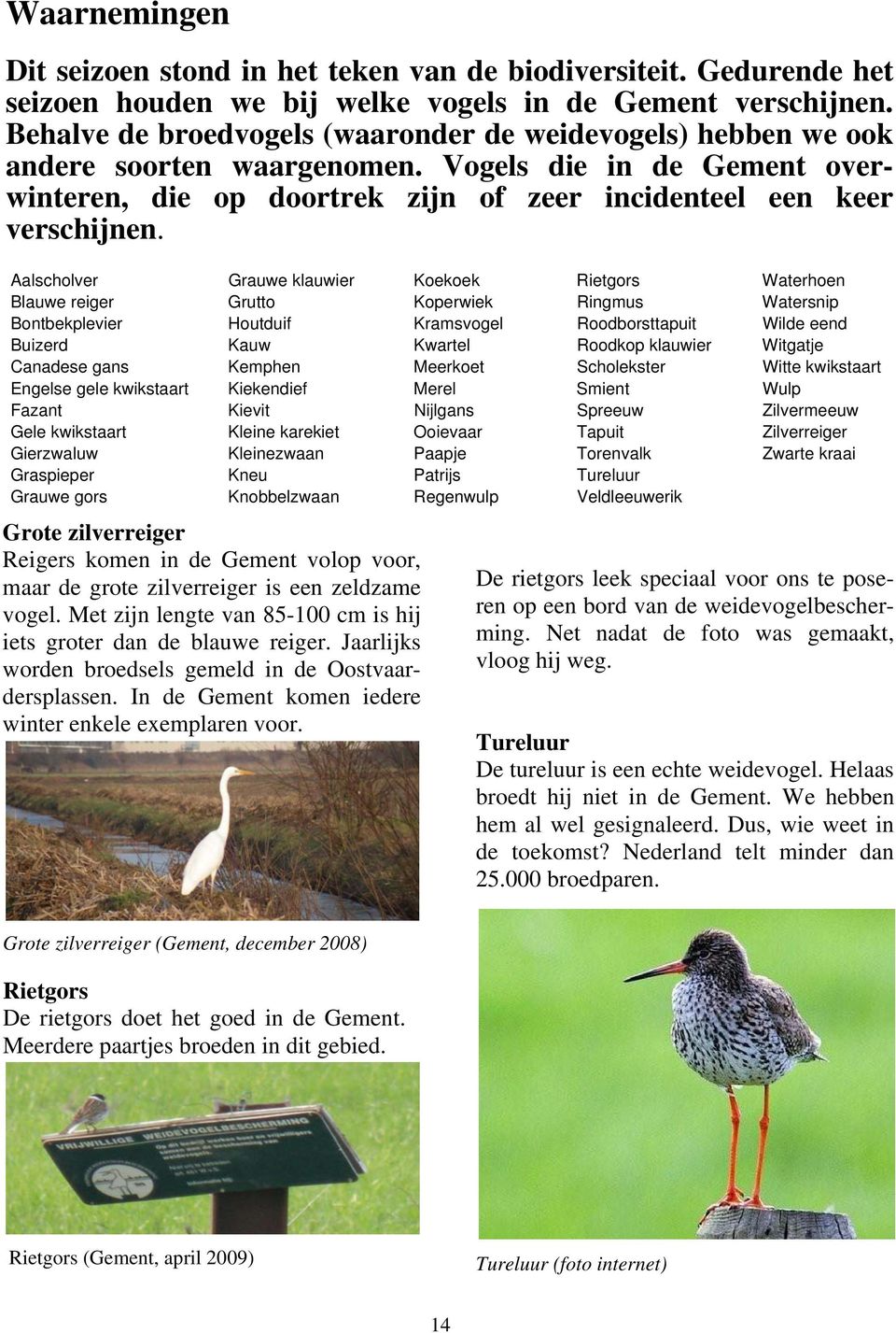 Aalscholver Grauwe klauwier Koekoek Rietgors Waterhoen Blauwe reiger Grutto Koperwiek Ringmus Watersnip Bontbekplevier Houtduif Kramsvogel Roodborsttapuit Wilde eend Buizerd Kauw Kwartel Roodkop