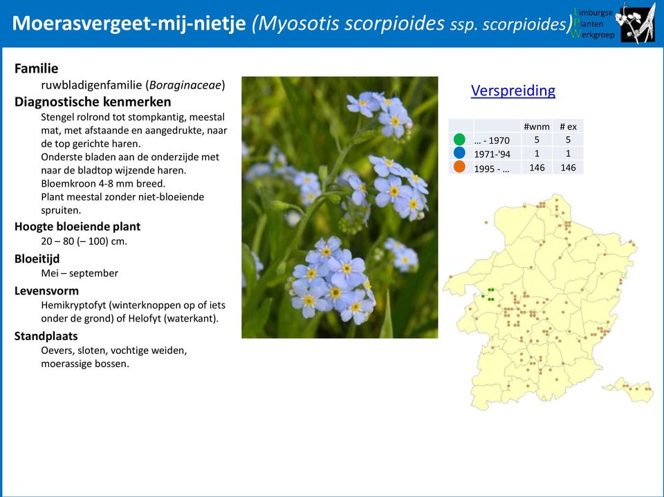 Onderste bladen aan de onderzijde met naar de bladtop wijzende haren. Bloemkroon 4-8 mm breed.