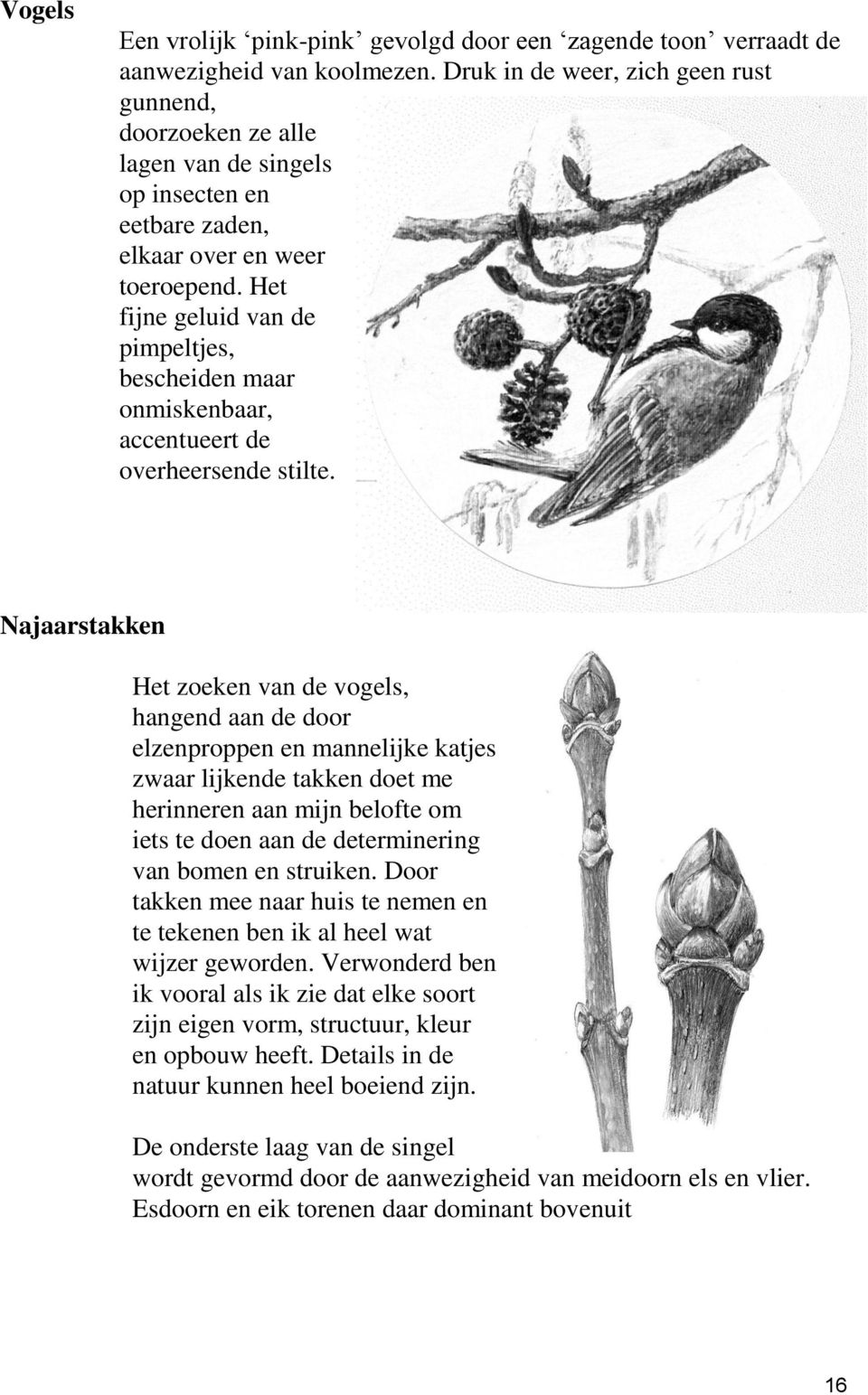 Het fijne geluid van de pimpeltjes, bescheiden maar onmiskenbaar, accentueert de overheersende stilte.