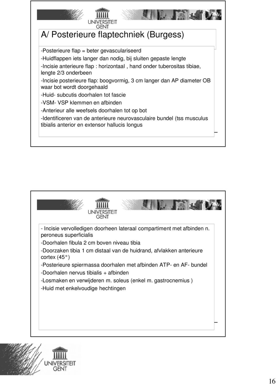 afbinden -Anterieur alle weefsels doorhalen tot op bot -Identificeren van de anterieure neurovasculaire bundel (tss musculus tibialis anterior en extensor hallucis longus - Incisie vervolledigen