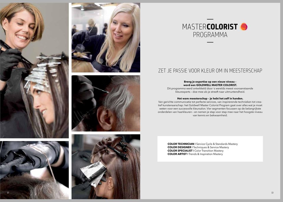 Van gerichte communicatie tot perfecte services, van inspirerende technieken tot creatief kunstenaarschap: het Goldwell Master Colorist Program gaat over alles wat je moet weten voor een succesvolle