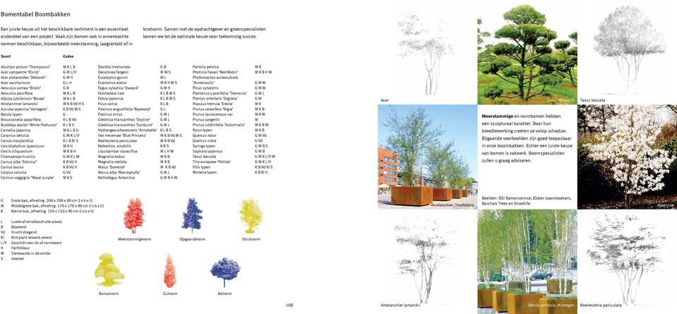 Samen met de opdrachtgever en groenspecialisten komen we tot de optimale keuze voor toekomstig succes.