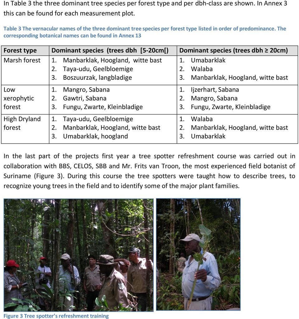 The corresponding botanical names can be found in Annex 13 Forest type Dominant species (trees dbh [5-20cm[) Dominant species (trees dbh 20cm) Marsh forest 1. Manbarklak, Hoogland, witte bast 2.