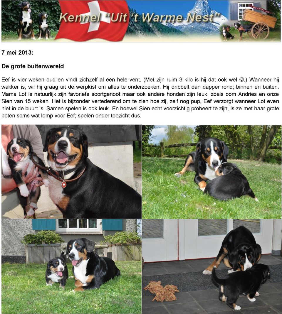 Mama Lot is natuurlijk zijn favoriete soortgenoot maar ook andere honden zijn leuk, zoals oom Andries en onze Sien van 15 weken.